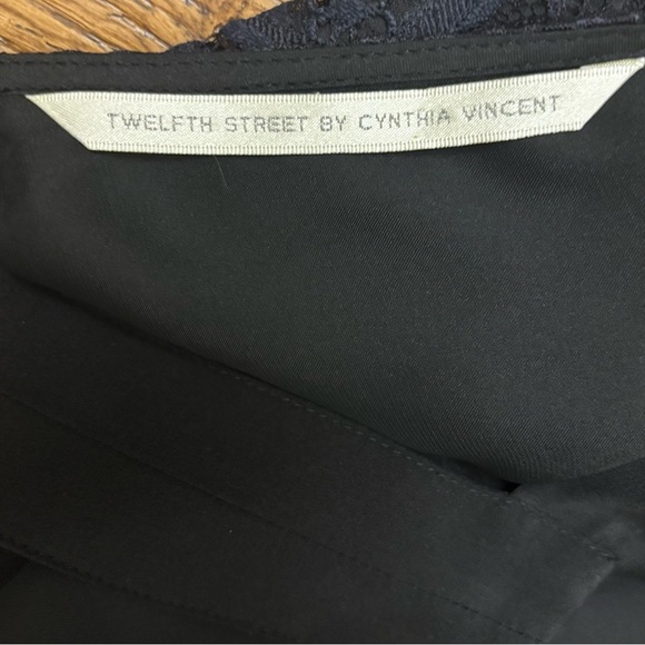 Twelfth Street by Cynthia Vincent lace dress - Picture 4 of 8